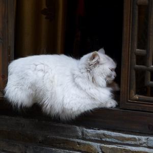 爽⋯好大⋯快⋯再深点视频
